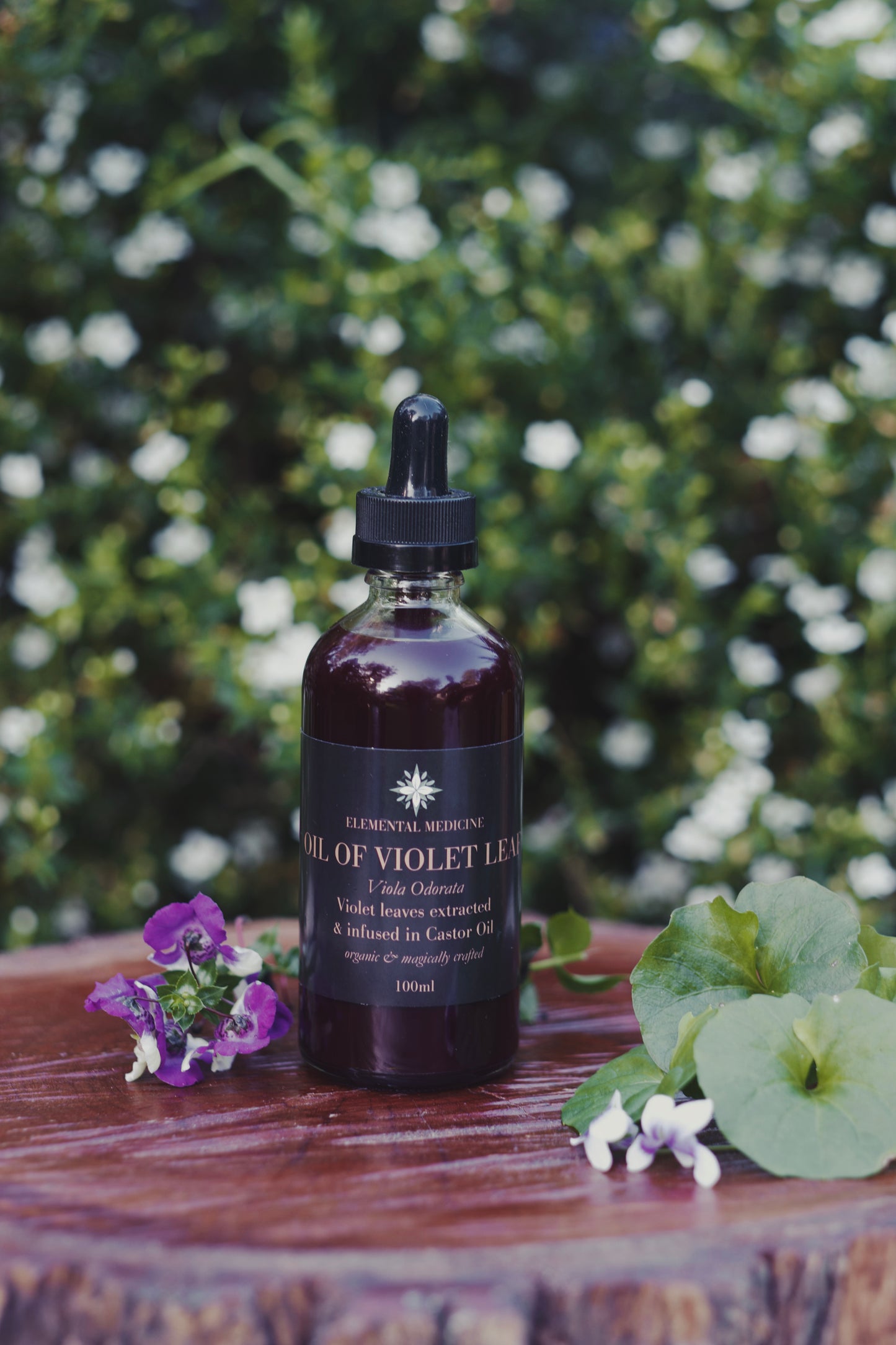 Violet Leaf in Castor Herbal Body Oil