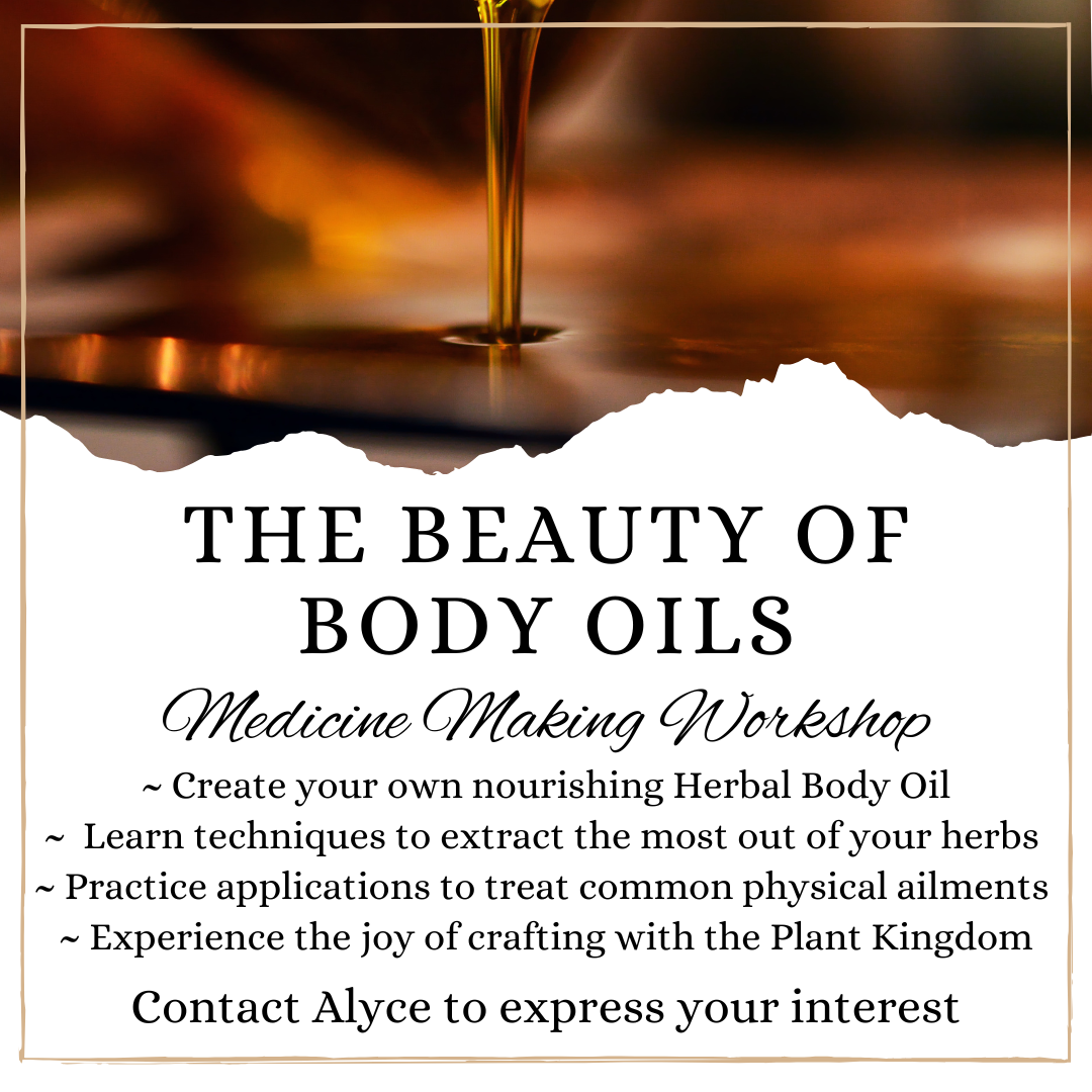 The Beauty of Body Oils - Medicine Making Workshop