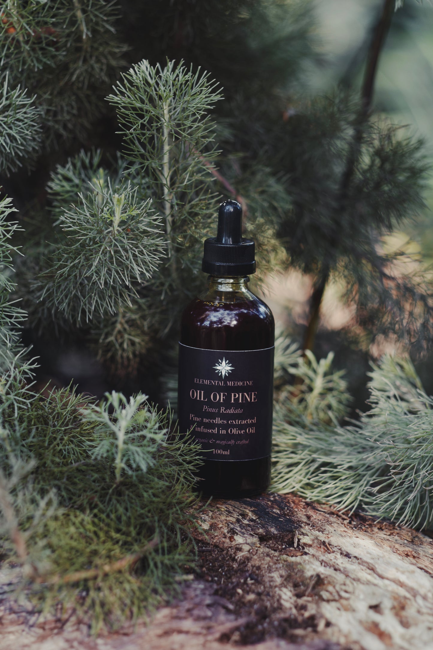 Pine Herbal Body Oil