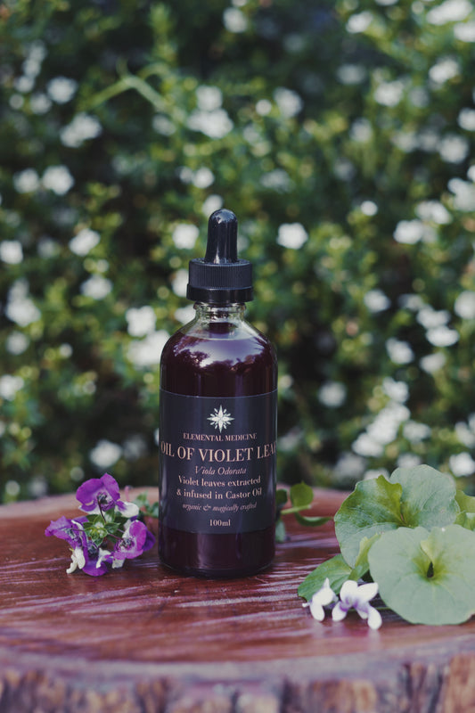 Violet Leaf in Castor Herbal Body Oil