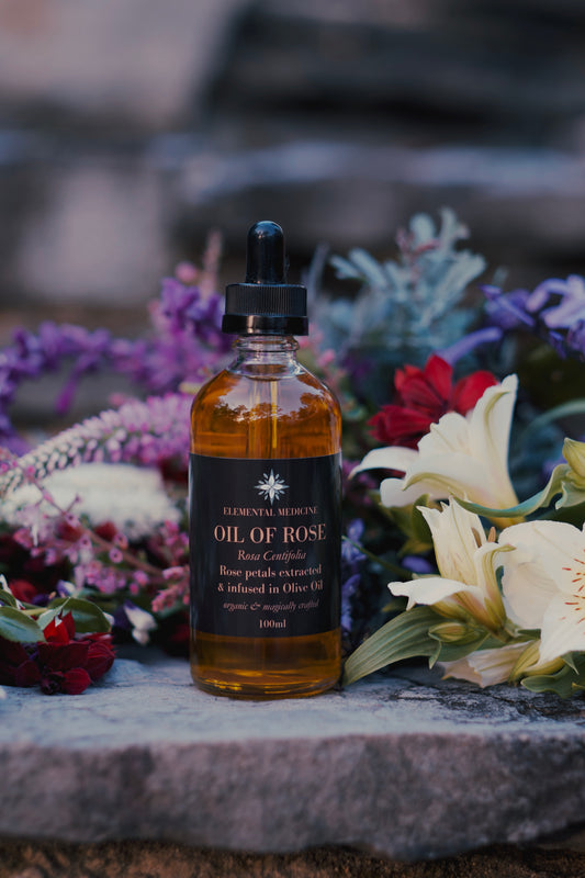 Rose Herbal Body Oil